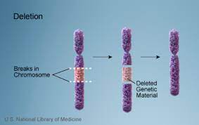 type of chromosome change in which part of a chromosome is lost