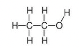 <p><span>Carbon atom bonded to functional group is also bonded to </span><u>one</u><span> other carbon atom</span></p>