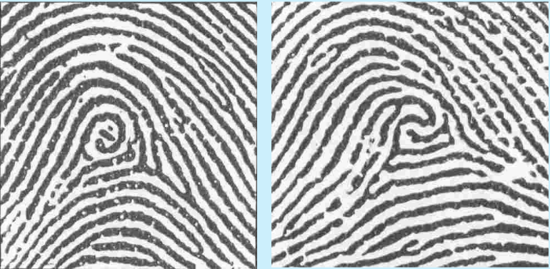 <p>totally random - don’t fit into any other category</p>