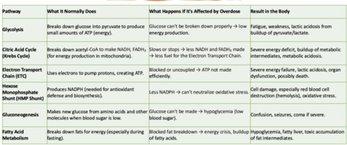 <p>What it normally does:</p><p>- Uses electrons to pump protons, creating ATP</p><p>What happens if its affected by overdose:</p><p>- Blocked or uncoupled → ATP not made efficiently</p><p>Result in the body:</p><p>- Severe energy failure, lactic acidosis, organ dysfunction, possibly death</p>