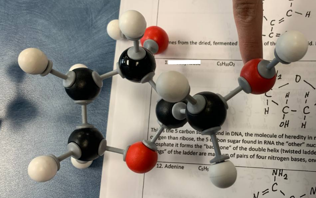 molecule kit