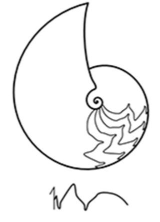 term image