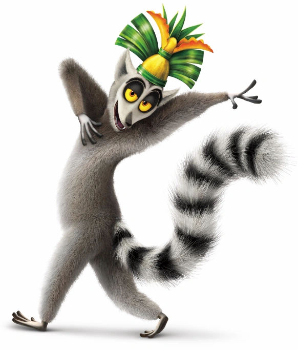 <p>ring-tailed lemur (<em>Lemur catta</em>)</p>