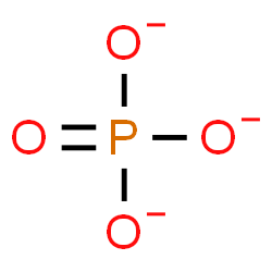 <p>Phosphate Group</p>