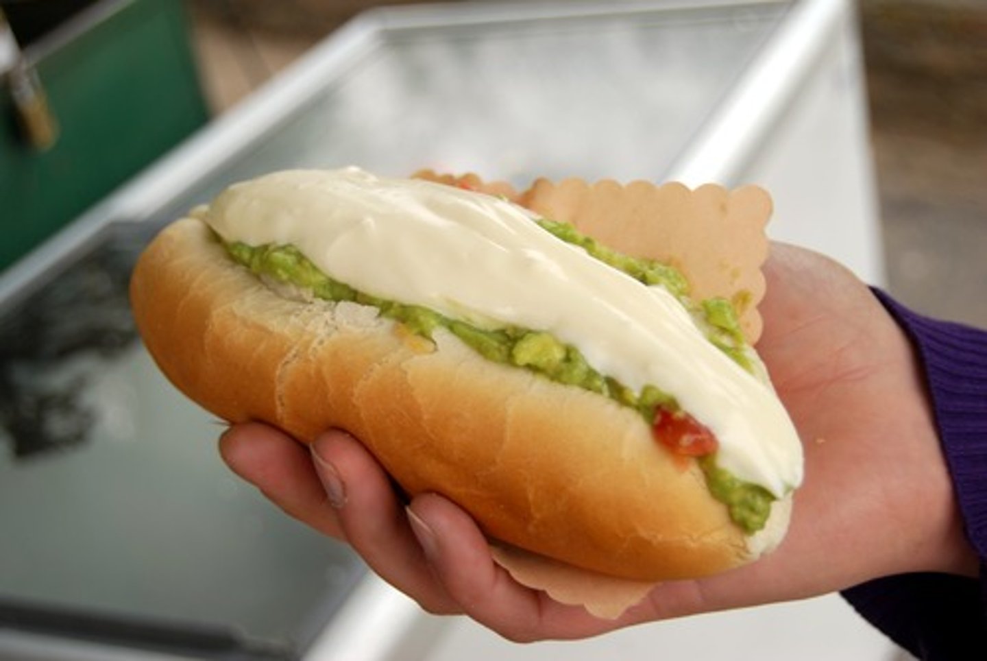 <p>Chilean hot dog</p>