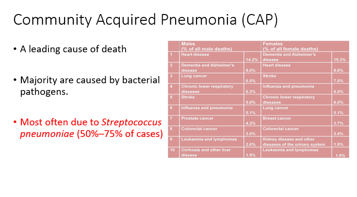 <p>Community acquired pneumonia (CAP) is a leading cause of death </p><p>Majority are caused </p>