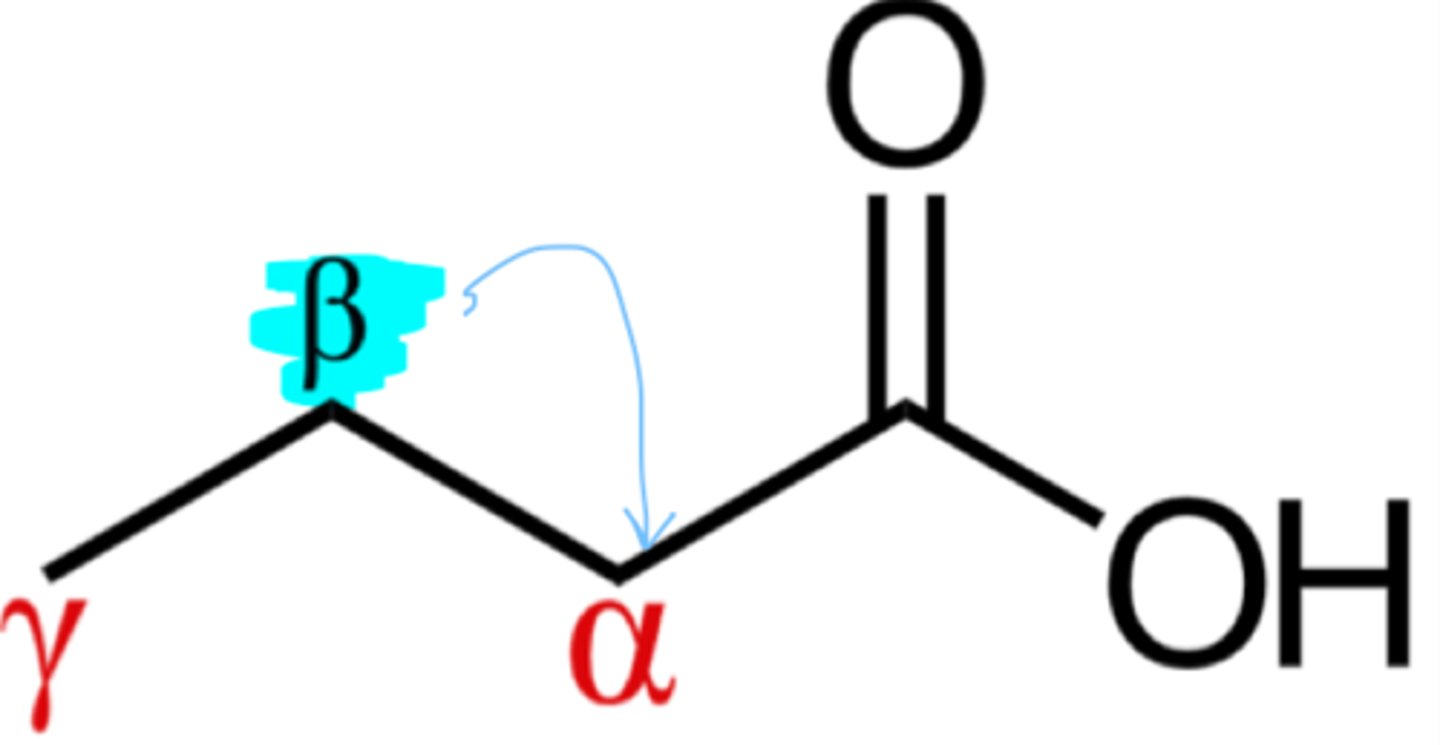 <p>beta carbon is oxidized to a carbonyl group (carbon atom removed from the first carbon that attaches to a functional group)</p>