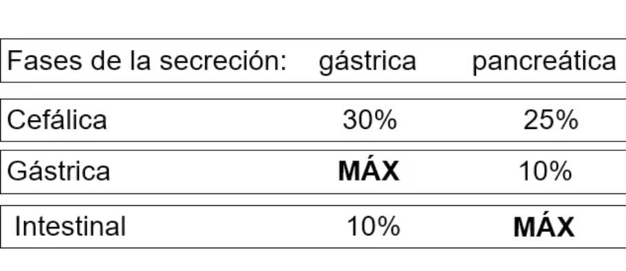 <p><strong>Estimulacion gastrica </strong>MAX en <u>fase gastrica</u></p><p><strong>Estimulacion pancreatica</strong> MAX en <u>fase intestinal</u> (importancia de secretina y CCK) </p>