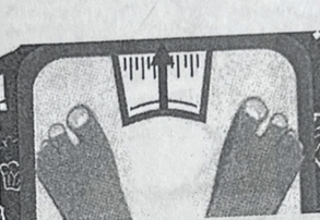 <p>the overweightness</p>