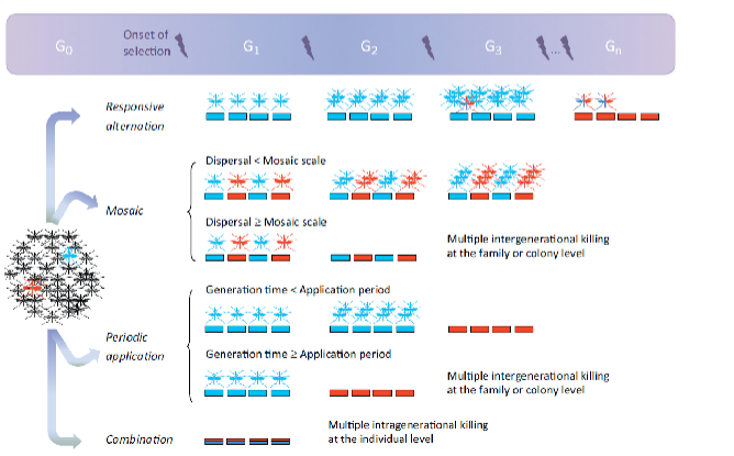 <p>Tailor insecticide application to knowledge of mosquito generation times & spatial distributions</p><p></p>