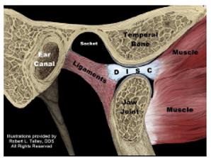 <p>Is this the Open or Closed position of the TMJ? </p>
