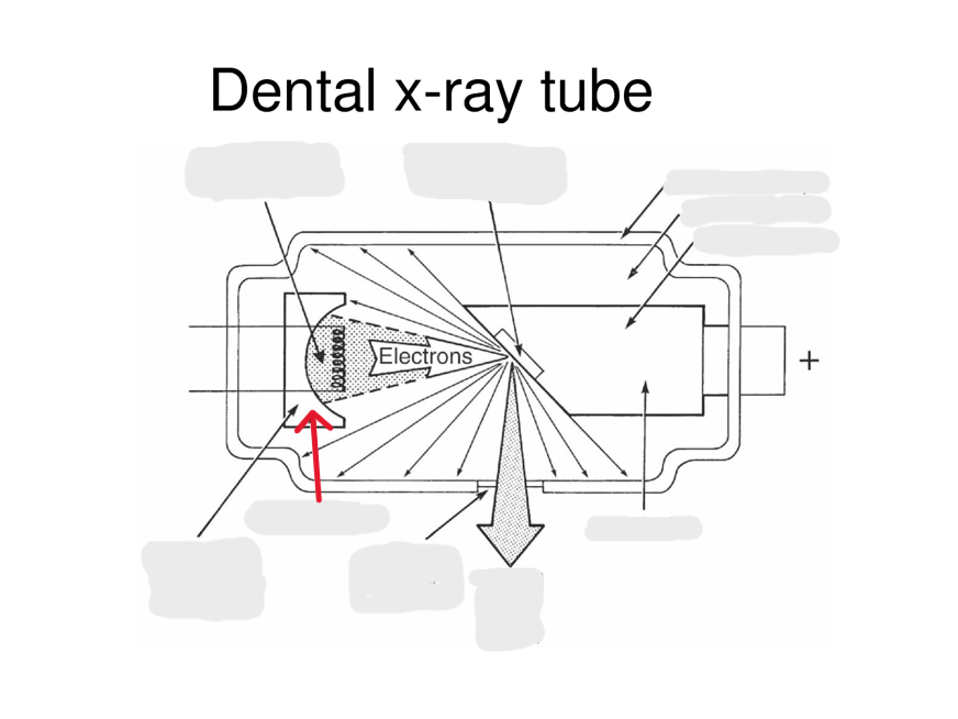 <p>the <strong>negatively charged electrode</strong> in the X-ray tube, composed of a filament that emits electrons when heated (-)</p>