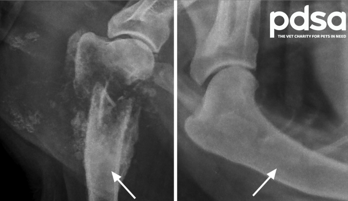 <p>What condition is on the left and right?</p>