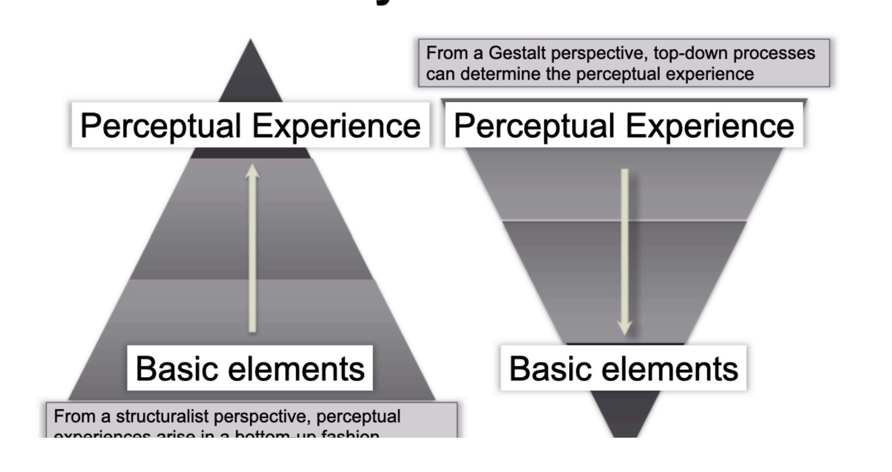 <ul><li><p>Phenomena had to be analyzed and studied in their entirety and could not be reduced to simple elements</p></li><li><p>Argued that observers did not construct a perceptual experience or conscious cog experience based purely on simple elemental sensory aspects of experience. But the total structure is perceived as a whole </p></li></ul><p></p><p>Caption: (From a structuralist perspective, perceptual experiences arise in a bottom up fashion) </p><p></p>