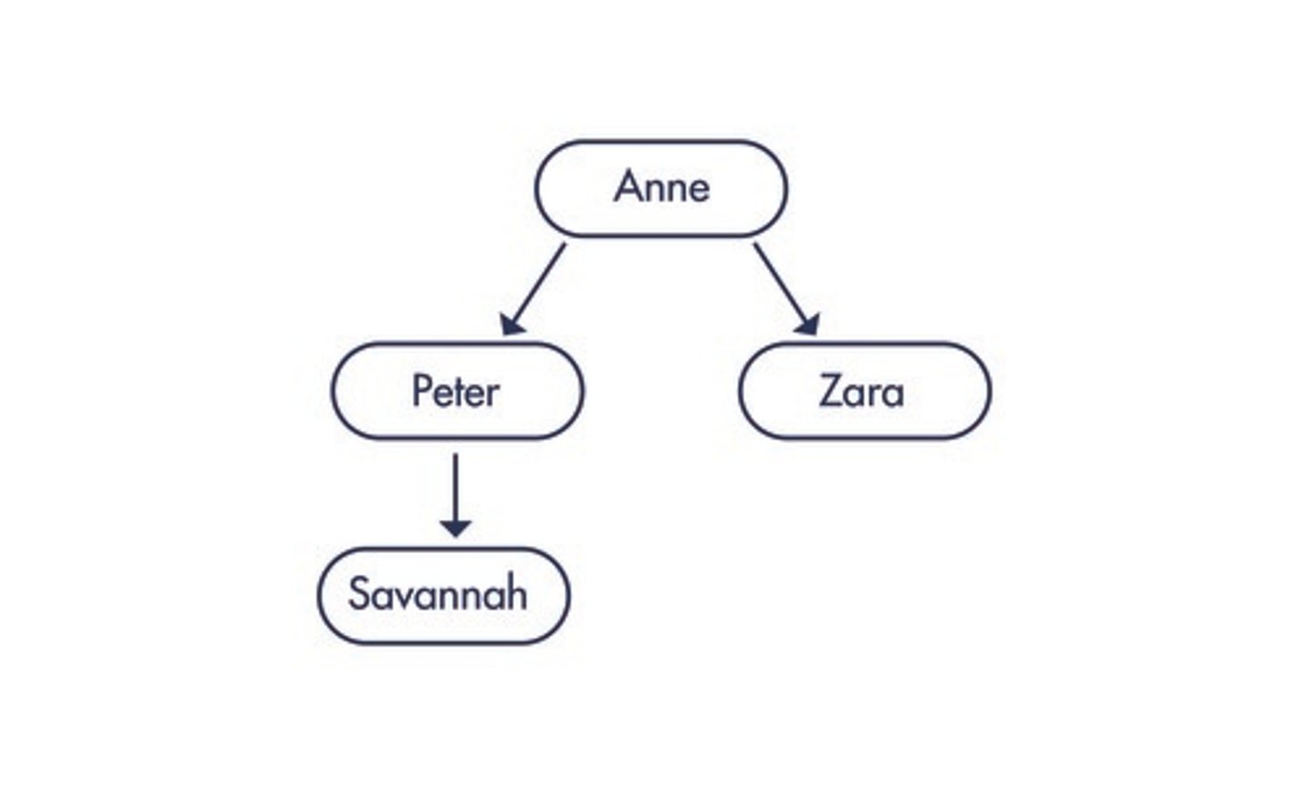 <p>Two</p><p>3 multiple choice options</p>