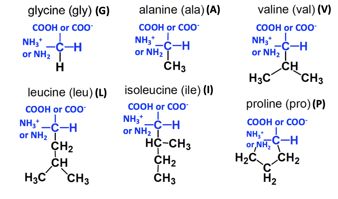 <p>= aliphatic</p><p>GAVLIP</p><p></p>