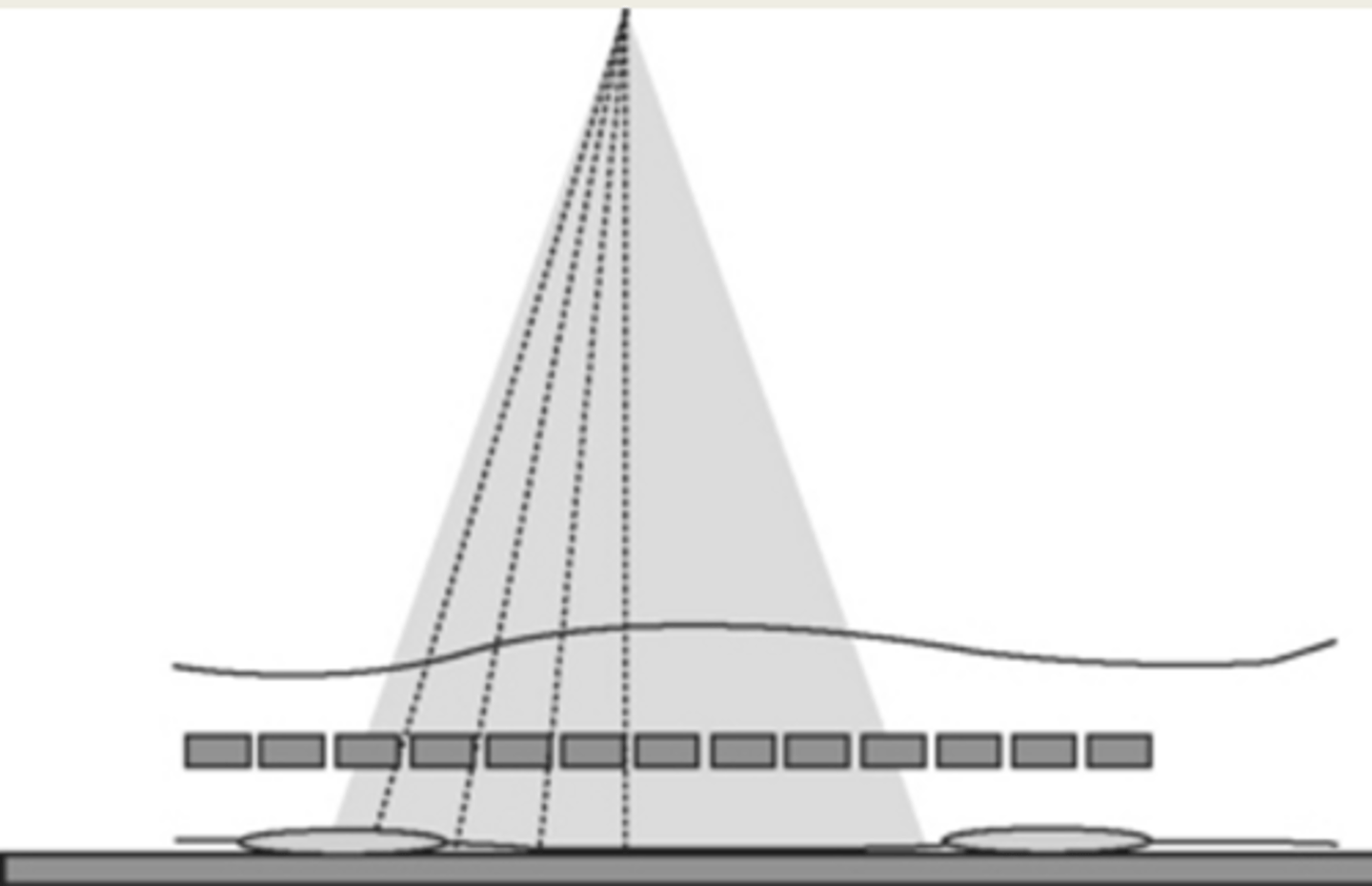 <p>Intervertebral spaces that are further from the center look smaller even though it is artifactual due to the angle of the ray</p>