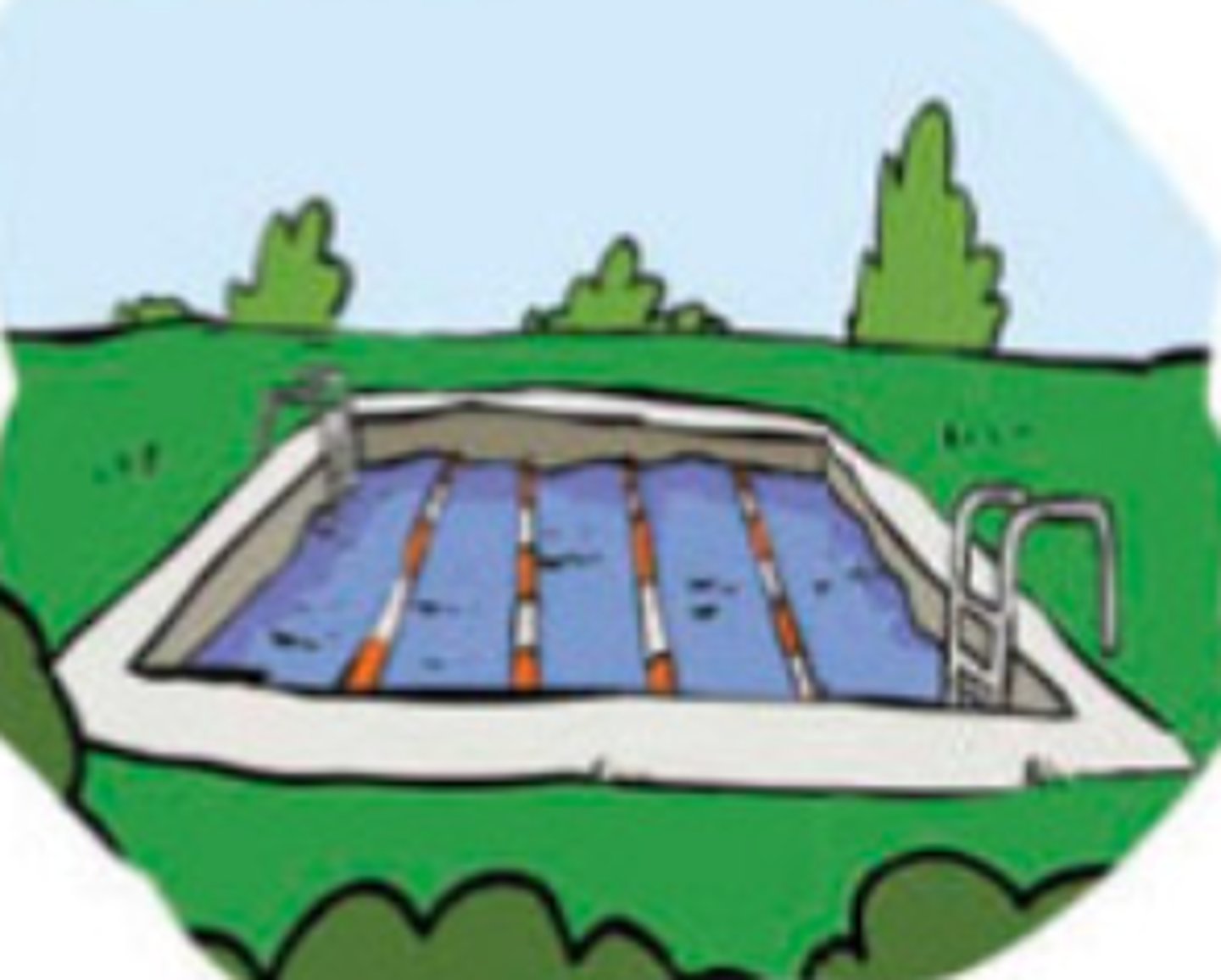 <p>the swimming pool</p>