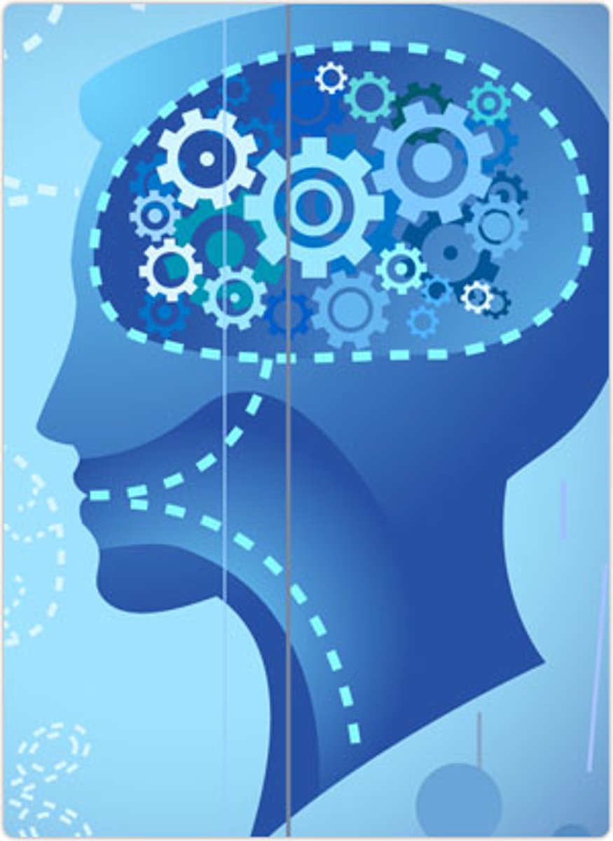 <p>the mental activities associated with thinking, knowing, remembering, and communicating</p>
