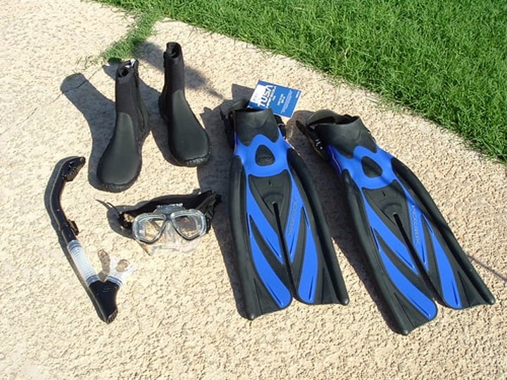 <p>to go scuba diving</p>