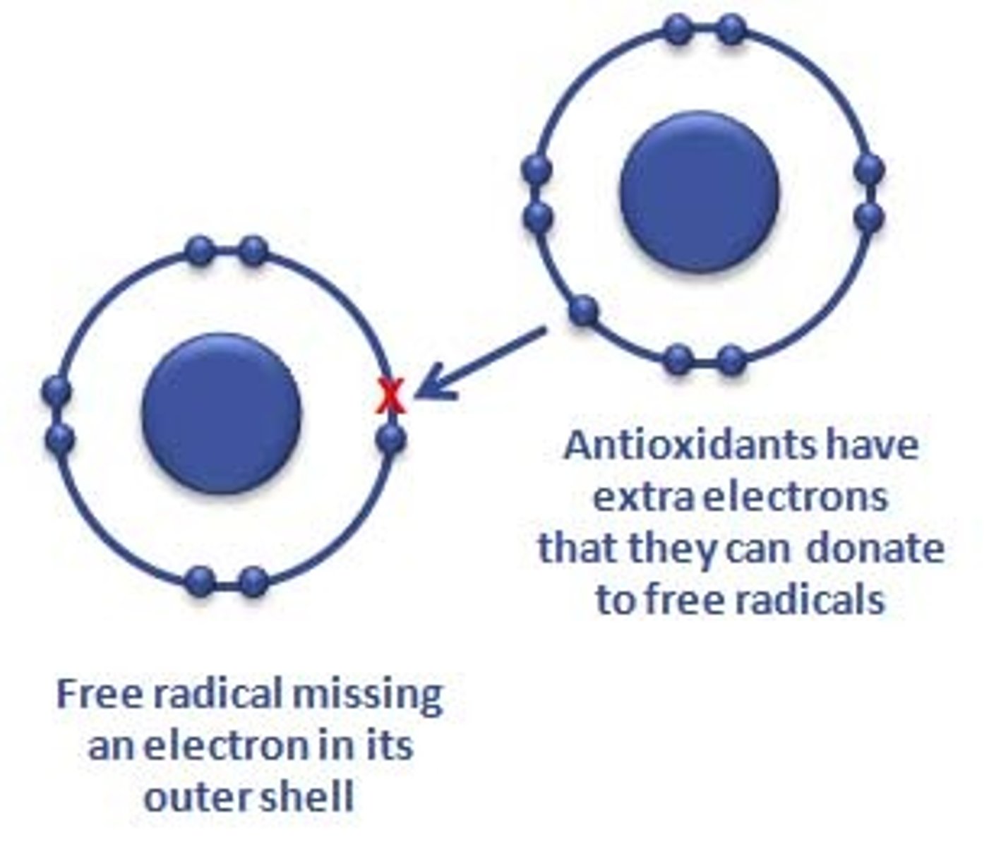 <p>Errors are a result of random damage from free radicals; they are unpaired unstable ions</p>