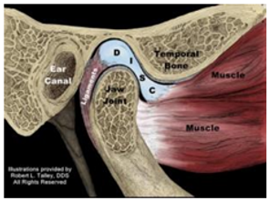 <p>Is this the Open or Closed position of the TMJ? </p>