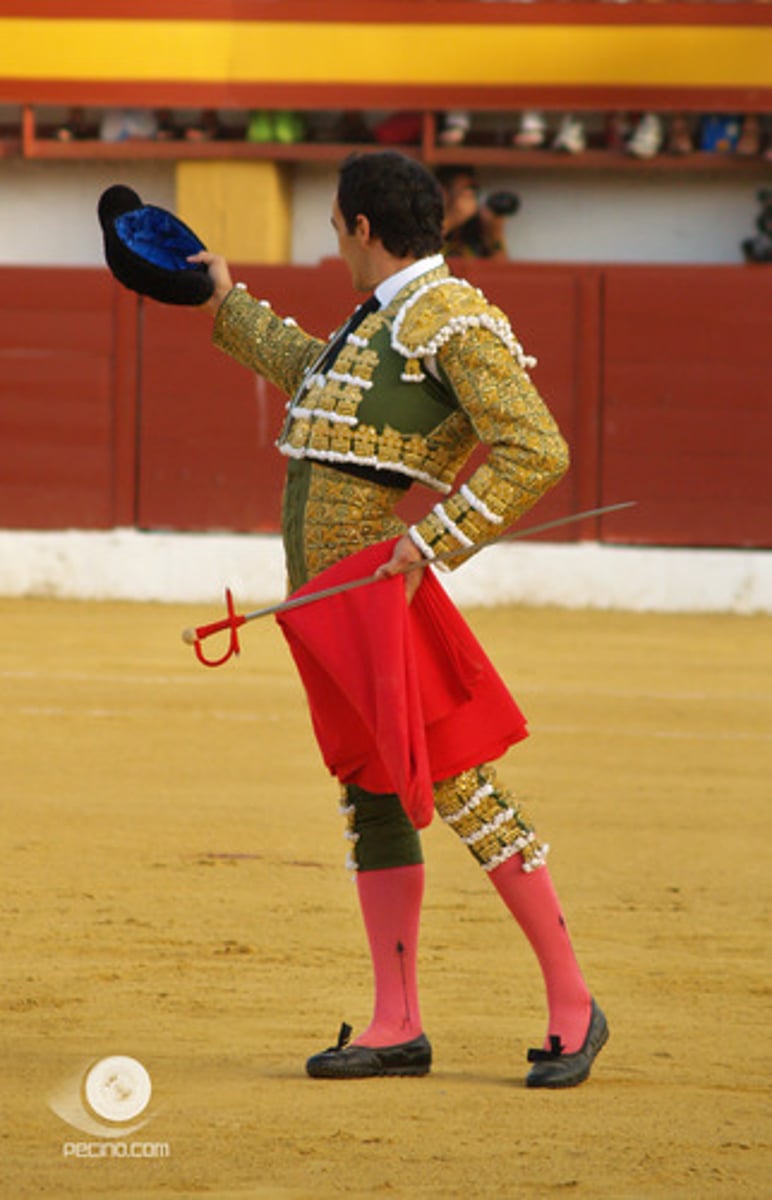 <p>bullfighter</p>