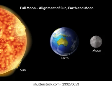 <ul><li><p>Lunar Eclipse is possible</p></li><li><p>Moon is behind the Earth, below the Ecliptic</p></li><li><p>The Sun, Earth, and Moon are lined up</p></li><li><p>Rises 6 PM, sets 6 AM</p></li></ul><p></p>