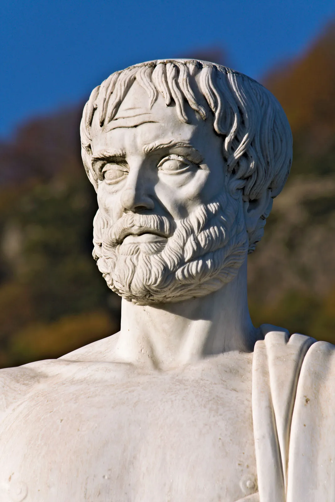 <p>Aristotle in 350 B.C</p>
