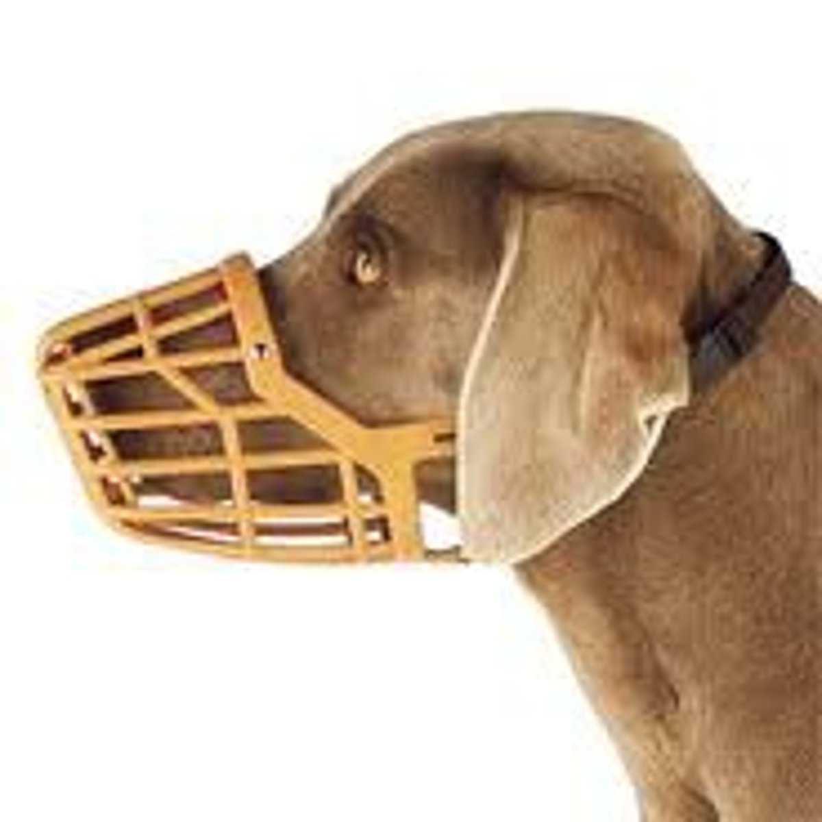 <p>a guard or strap fitted over an animal's nose and jaws to prevent it biting or eating.</p>
