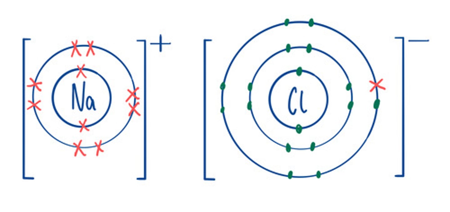 <p>dot and cross diagram</p>