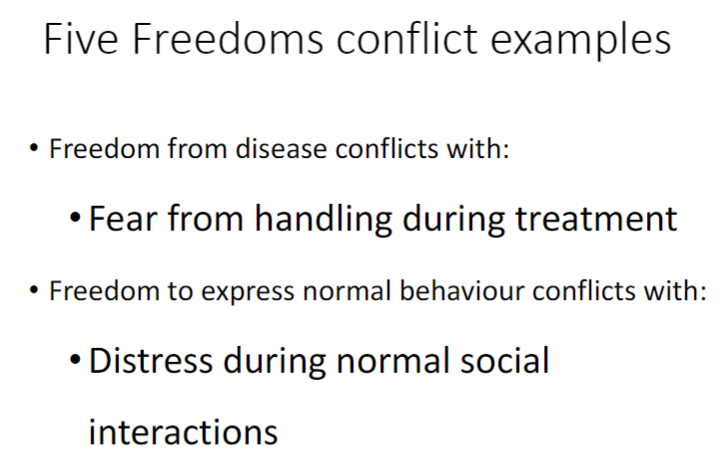 <p><strong>Freedom from Disease</strong><br> Conflict: <strong>Fear</strong> from handling during treatment</p><p><strong>Freedom to Express Normal Behaviour</strong><br> Conflict: <strong>Distress</strong> during normal social interactions</p>