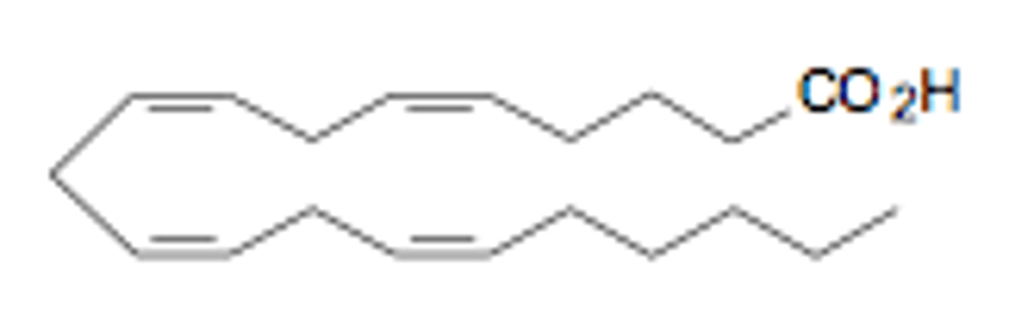 <p>20:4Δ^5,8,11,14 <br>ω6</p>