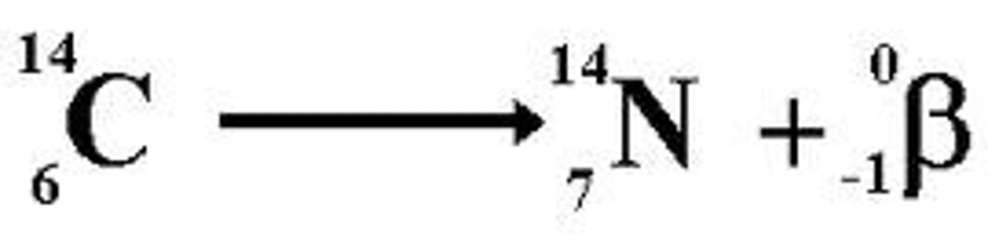 <p>A type of radioactive decay where a neutron changes into a proton, increasing the atomic number by 1.<br>-happens if too many neutrons in nucleus</p>