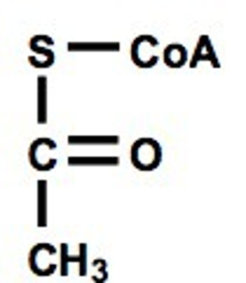 <p>What is the starting molecule for the citric acid cycle?</p>