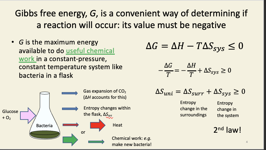 <ul><li><p>spontaneous in thermodynamics simply means - can occur in a macroscopic system - anything other than extremely small systems, it becomes statistically unfeasible for certain things to happen e.g. free compression&nbsp;</p></li><li><p>Gibbs is a way of determining whether something can occur in a macroscopic system like a cell or test tube - but just because a reaction is spontaneous, doesn’t mean it will happen → may not happen due to kinetic factors&nbsp;</p></li></ul><p></p>