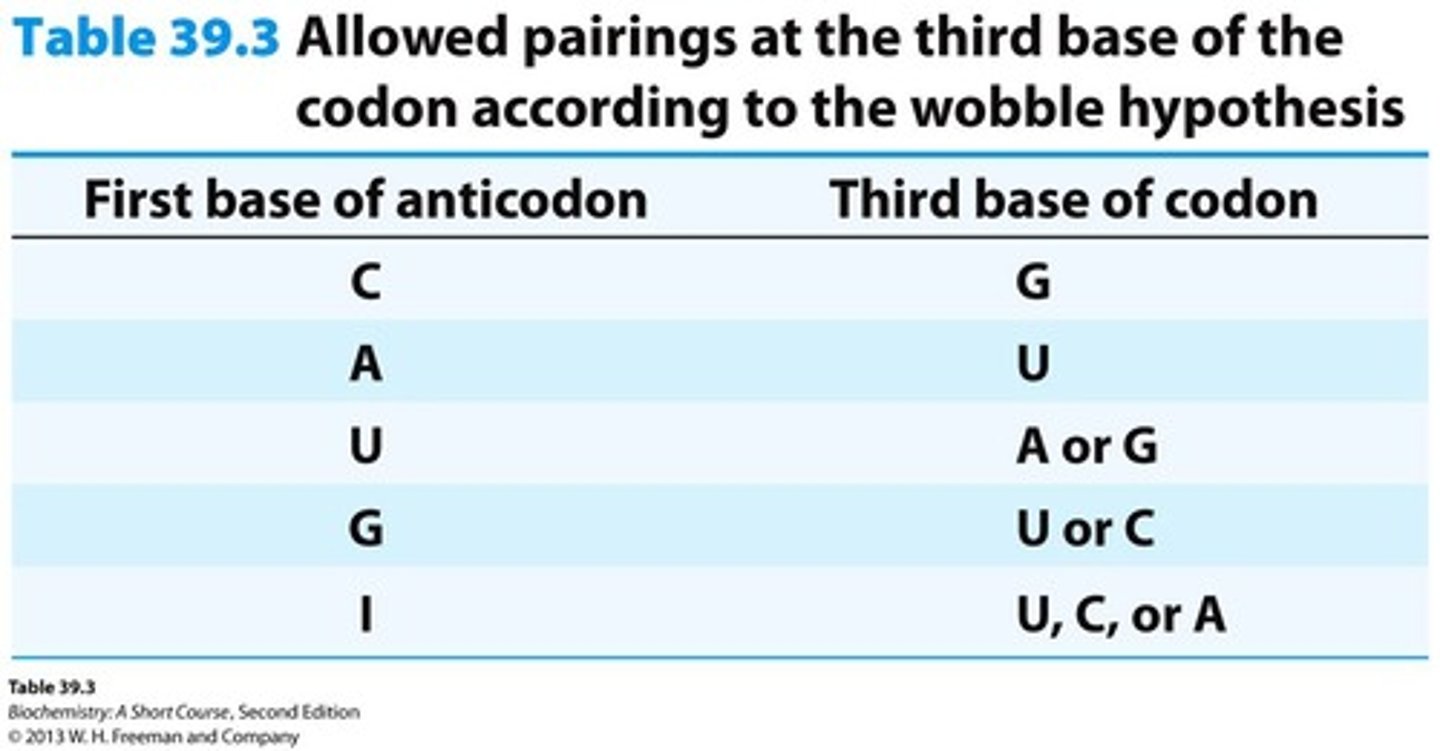 <p>Some tRNA molecules can recognize more than one codon.</p>