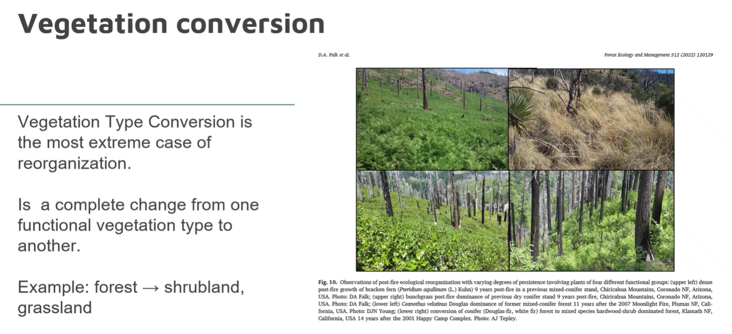<p>vegetation conversion: a complete change from one functional vegetation type to another (forest —> grassland)</p>