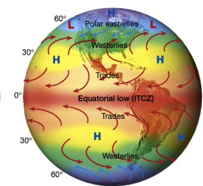<p>A low-pressure belt (cloud band) circling the Earth near the equator where trade winds of the Northern and Southern Hemispheres converge; indicates where warm and humid air rises </p>