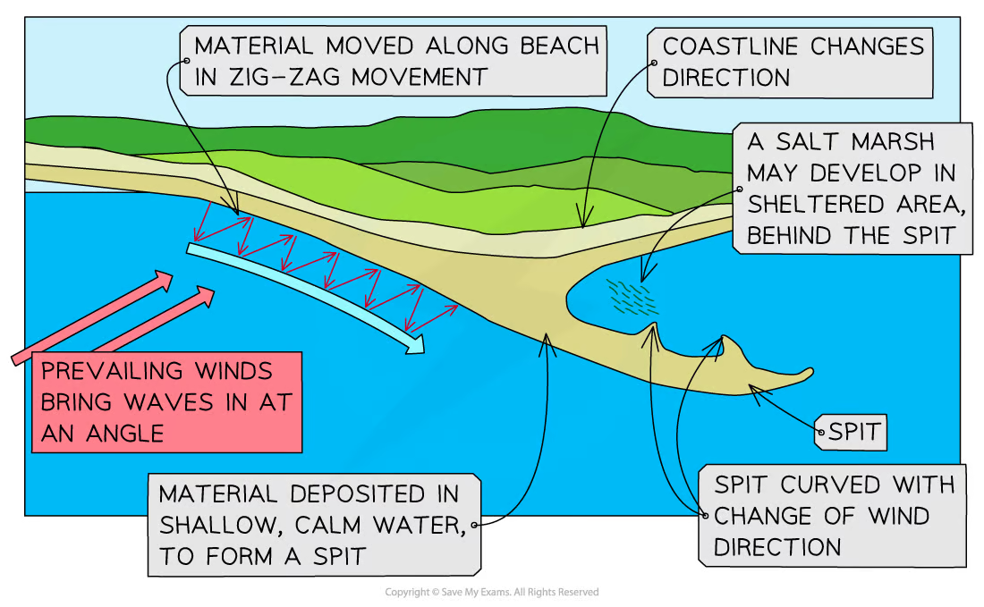 <ul><li><p>Created because of longshore drift</p></li><li><p>When coastline changes direction the waves loose energy to carry sediment and deposit it, then builds up out to sea</p></li><li><p>Often has a curved end due to second prevailing wind</p></li></ul><p></p>