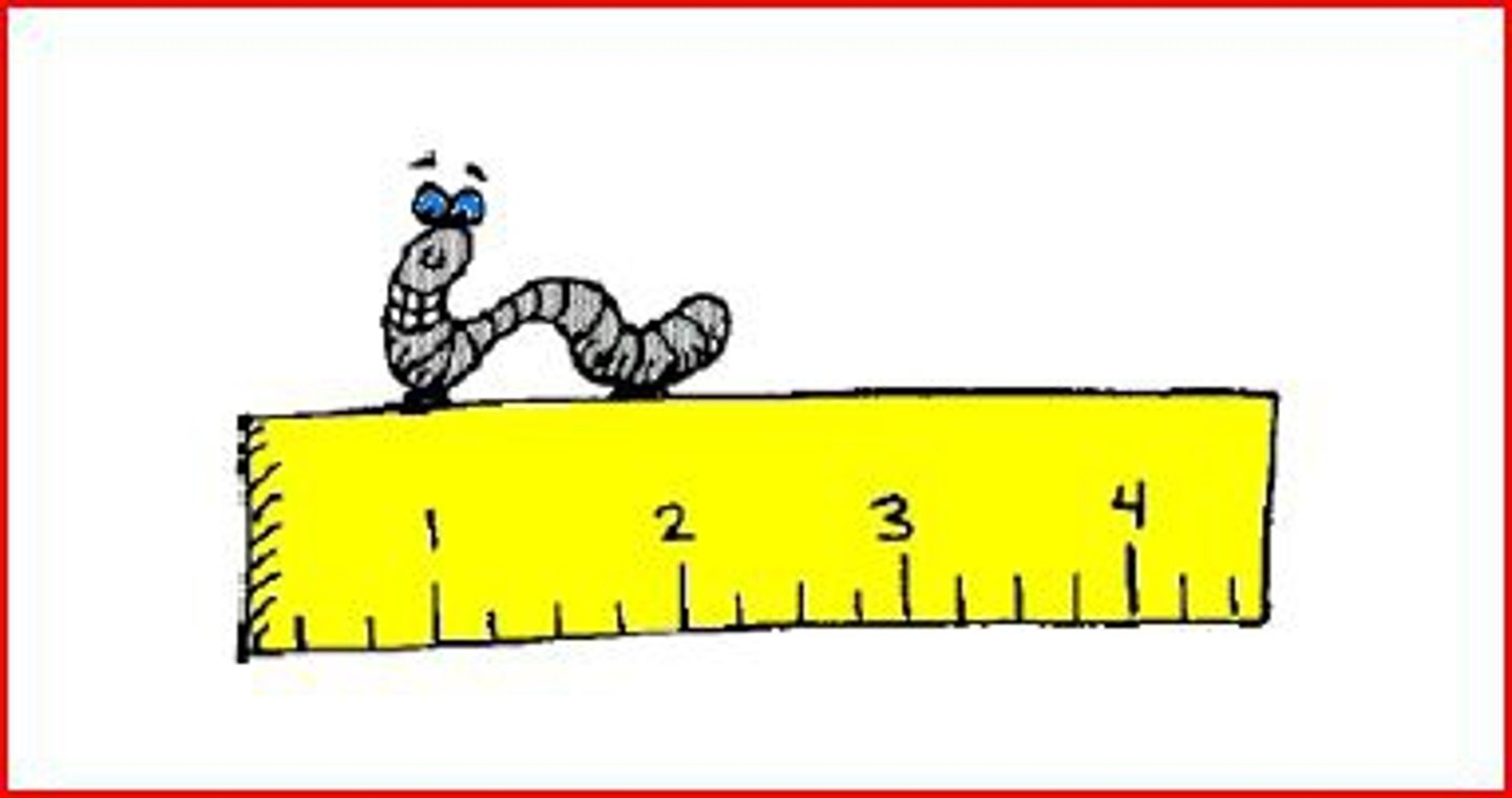 <p>How long something is. The distance from one point to another.</p><p>Length is measured in units such as inches, feet, centimeters, etc.</p>