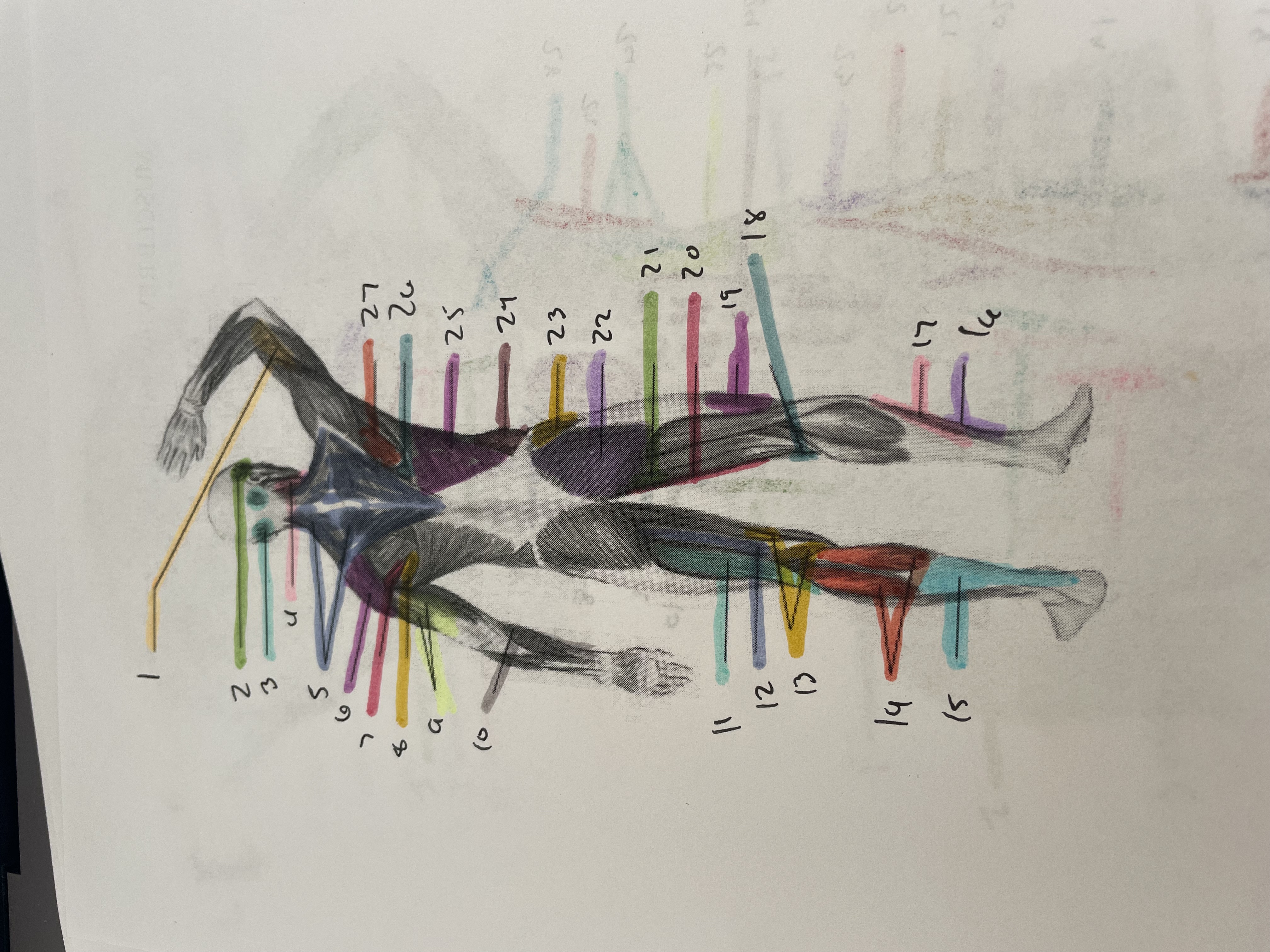 <p>26</p>