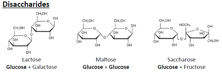 <p>Lactose, Maltose, Saccharose.</p>