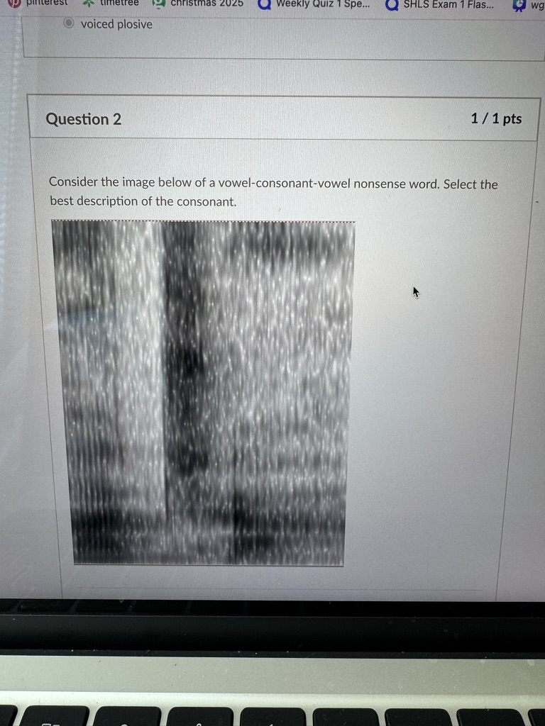 <p>Consider the image below of a vowel-consonant-vowel nonsense word. Select the best description of the consonant </p>