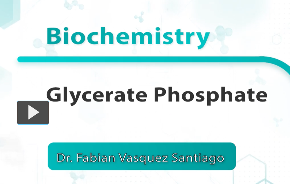 <p>Glycerol Phosphate Shuttle &amp; Aspartate - Malate Shuttle</p>