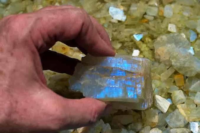 <p>Luster that resembles the inside of a mollusk shell</p>