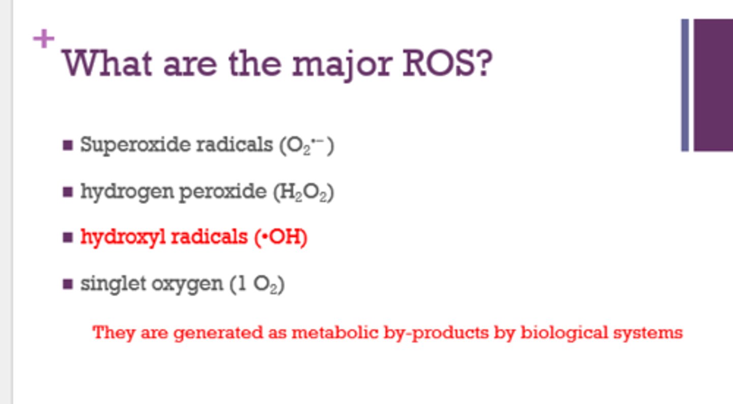 <p>as metabolic by-products by biological systems</p>