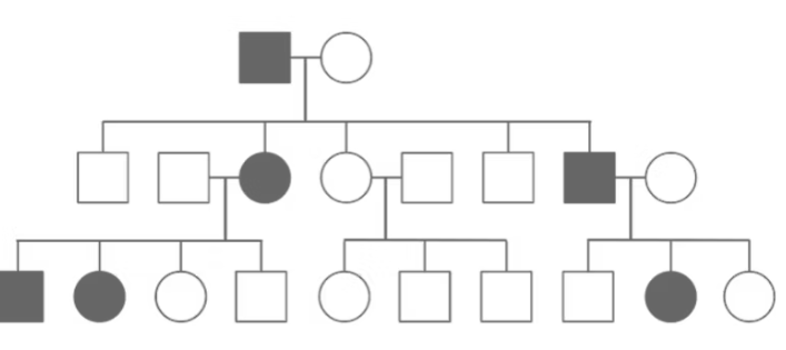 <p>What pattern of Mendelian Inheritance is this?</p>