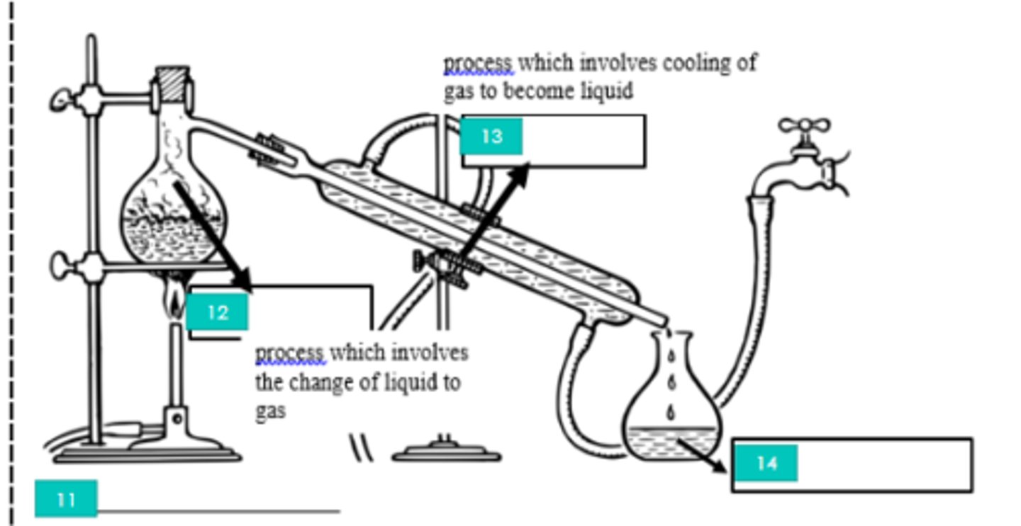<p>11?</p>
