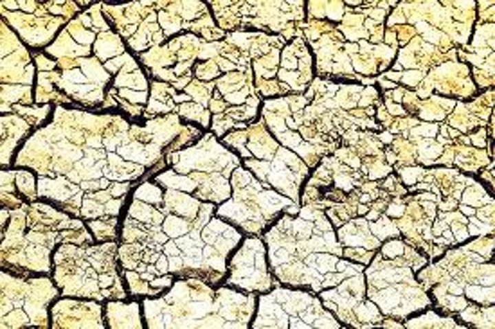<p>The loss of some or all of a soil's ability to support plant growth. Can be due to deforestation or unsustainable farming practices like overcropping and overgrazing.</p>
